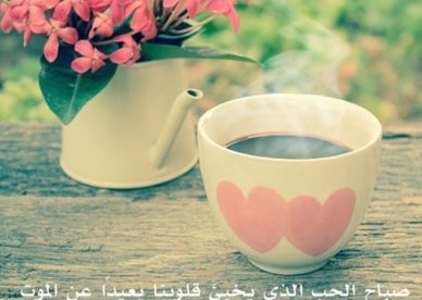 صباح الحب كلمات وصور حب Love صور رمزيات حالات خلفيات عرض واتس اب انستقرام فيس بوك - رمزياتي